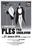 6. chritativní ples pro Sokolovnu
